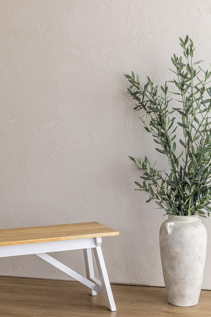 Pale textured plaster wall with a potted olive tree and a timber bench