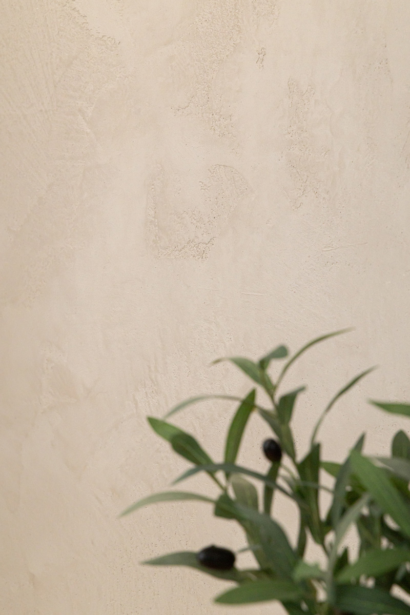 Mottled beige plaster wall behind an olive branch