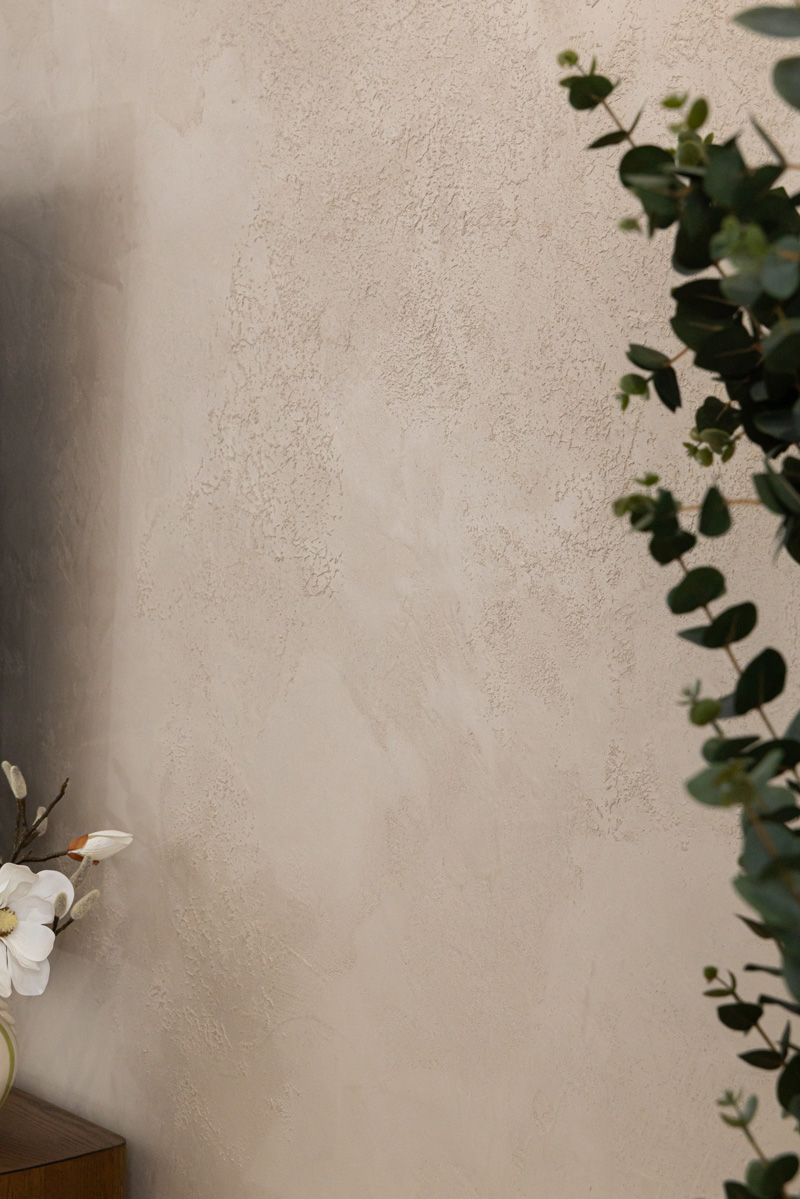 Textured beige plaster wall with eucalyptus leaves and white flowers
